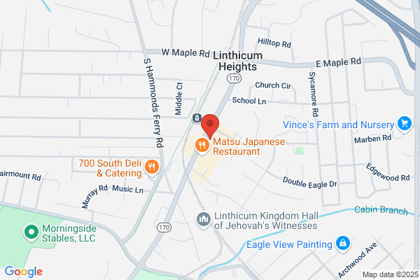 Vision Solutions of Linthicum