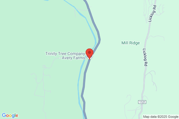 Avery County Christmas Tree & Nurserymen Association