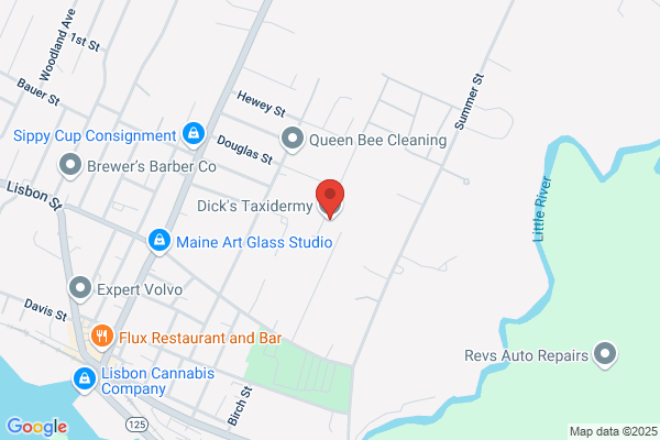 Dick's Taxidermy