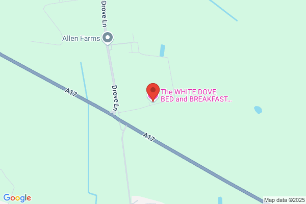 Lonesome Dove Bed & Breakfast