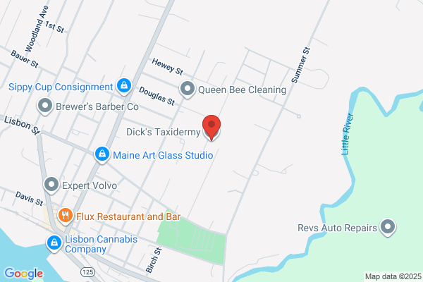 Dick's Taxidermy