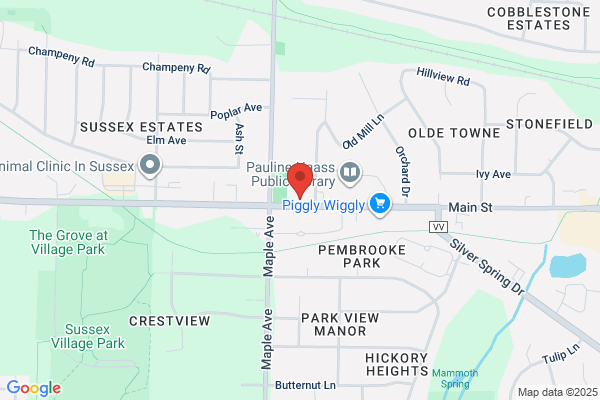 Sussex Auto Inc