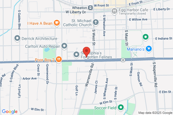Accounting Connections Inc