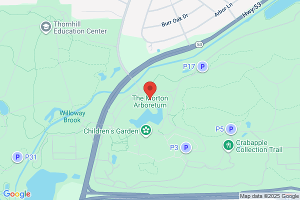 Morton Arboretum