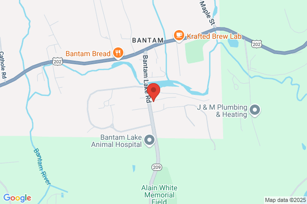 Bantam Electric Co