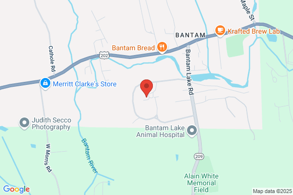 Bantam Village