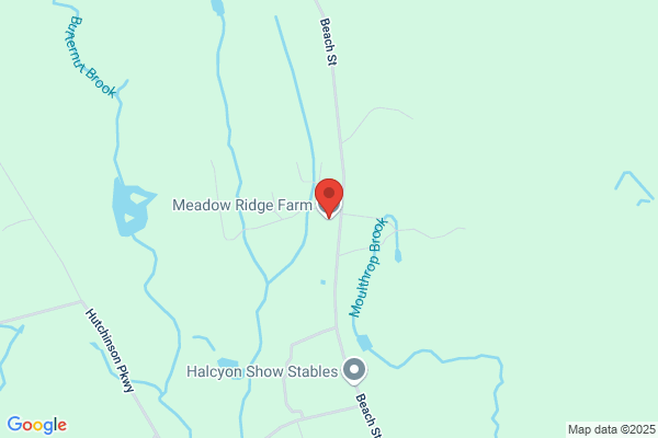 Meadow Ridge Farm LLC