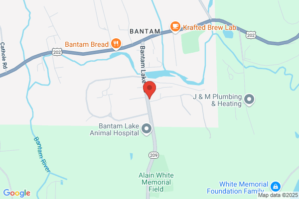 Bantam Cinema