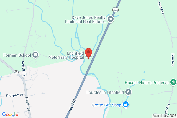 Litchfield Veterinary Hospital