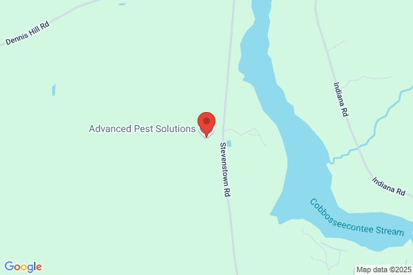 Alternative Services