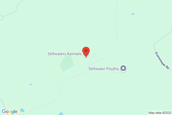 Stillwater Farm Kennels