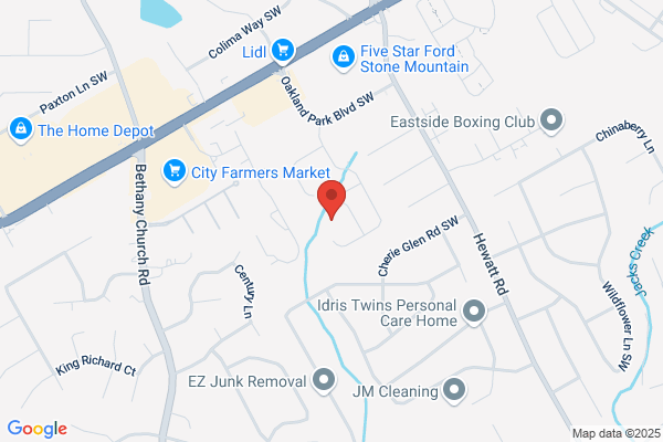 Dedicated Appliance Repair Technician Services