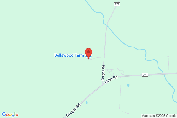 Blystone Farms