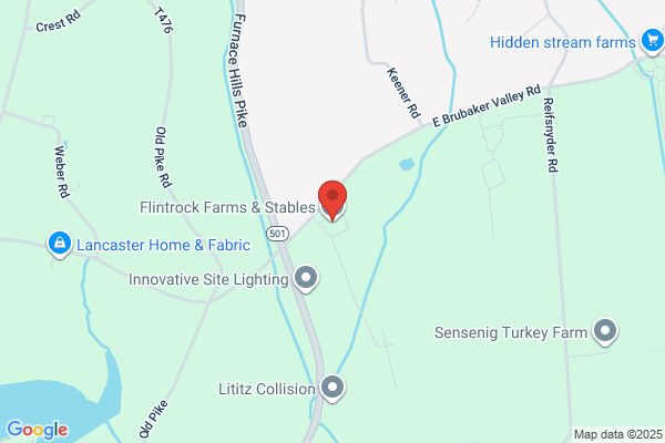 Flintrock Stables