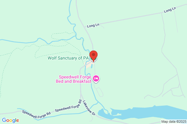 Wolf Sanctuary of PA