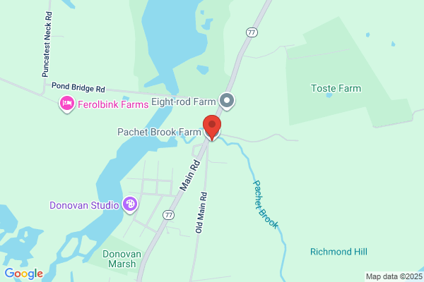 Pachet Brook Farm