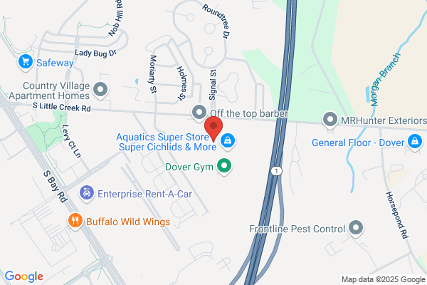 Central Delaware Training Academy
