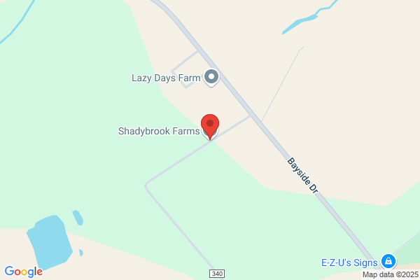Shadybrook Farms