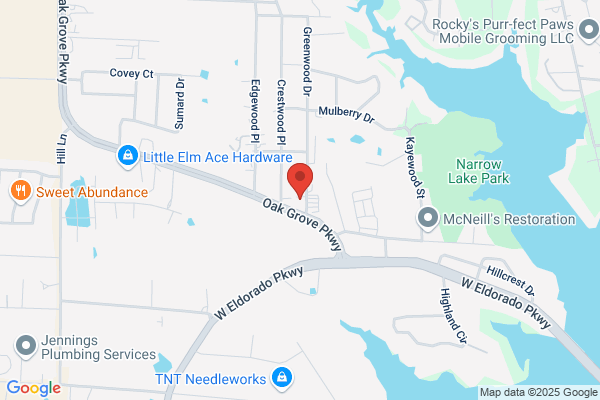 CARSTAR Little Elm