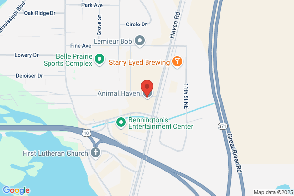Minnesota Veterinary Associates Inc
