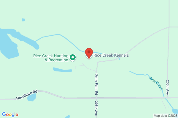 Rice Creek Kennels