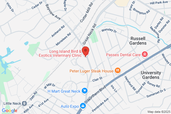 Long Island Bird & Exotics Veterinary Clinic