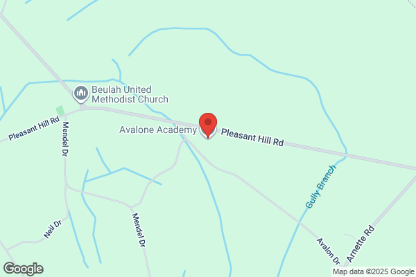 Avalon Academy Inc