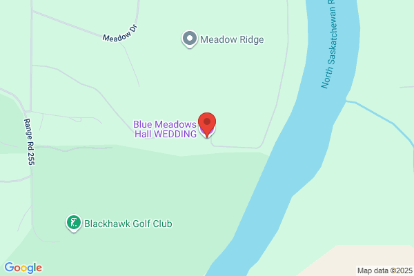 Blue Meadows Inc Party Stop