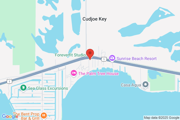 Case Jb Surveyor & Mapper