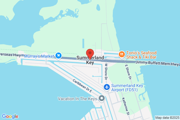 Summerland Styles