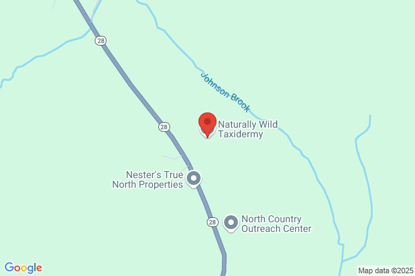 Naturally Wild Taxidermy Studio