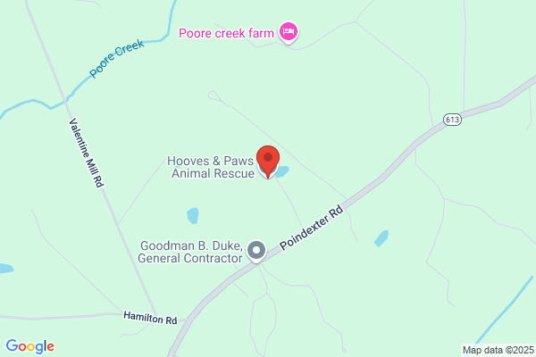 Hooves & Paws Animal Rescue