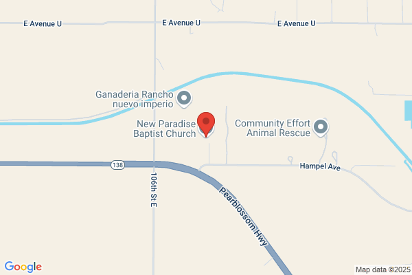 New Paradise Baptist Church