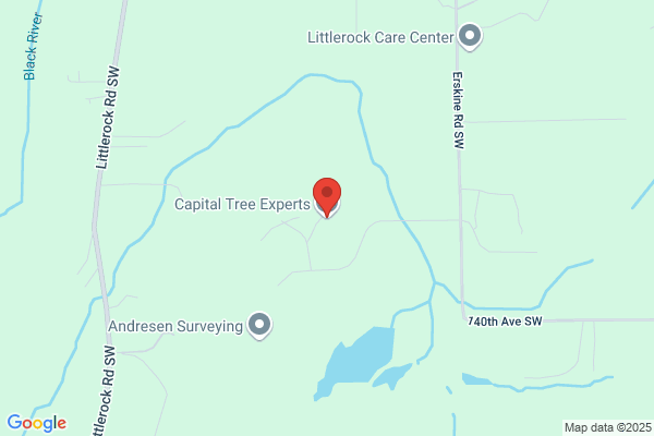 Capital Tree Experts LLC