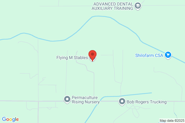 Flying M Stables