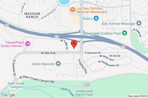 A Swimming Pool Consultant Ipci