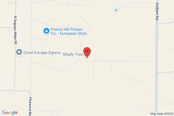Shady Tree & Lawn Services