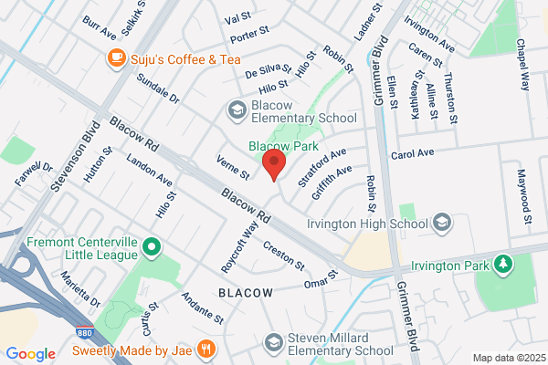 Laser Security Systems Inc