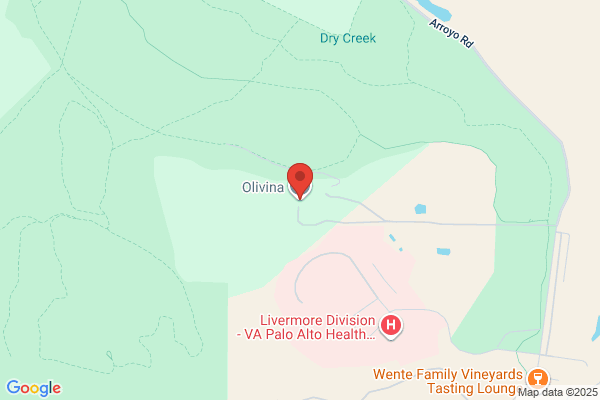Olivina Llc