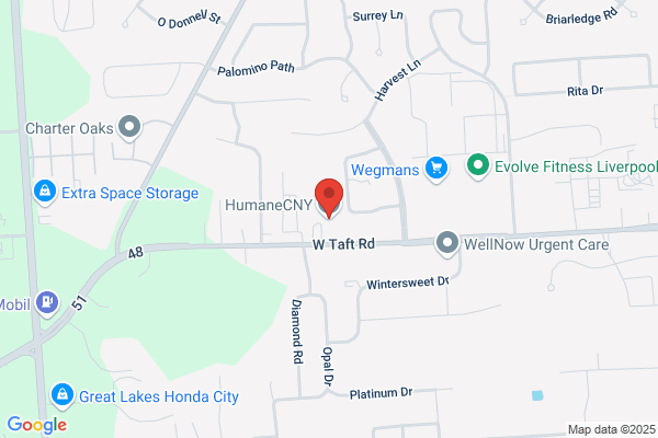 Humane Association of Central New York
