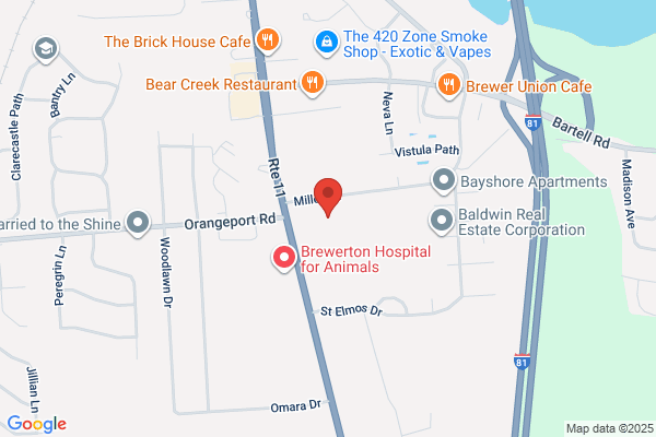 Dynasty Roofing