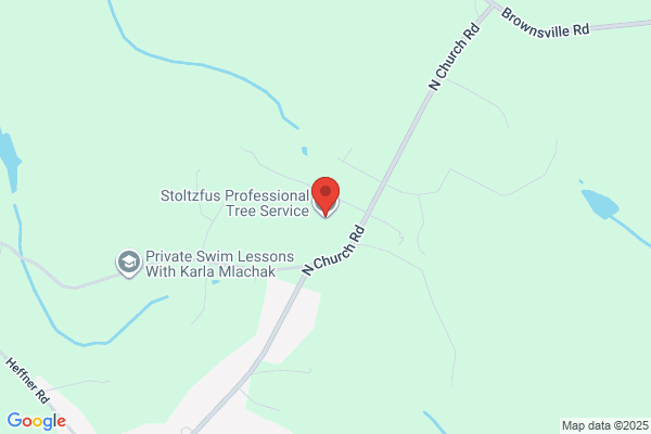 Stoltzfus Tree Service