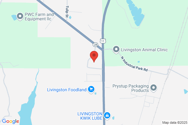 Livingston High School