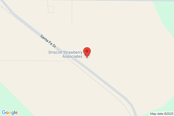 Driscoll Strawberry Association