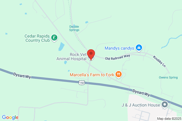 Rockcastle Veterinary Clinic