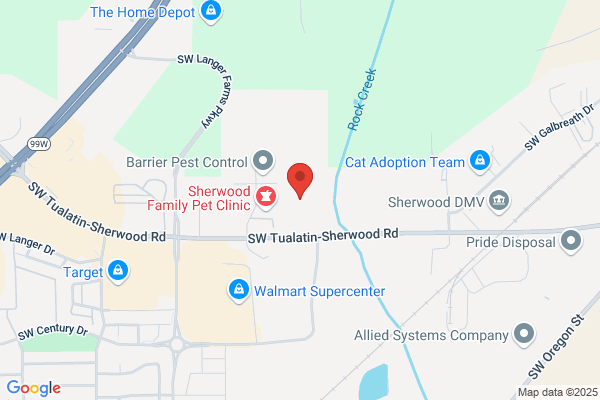 Flyfishing Discovery Center