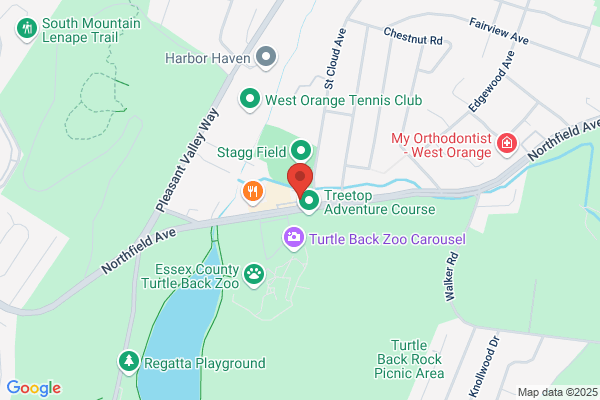 Best Western Turtle Brook Inn