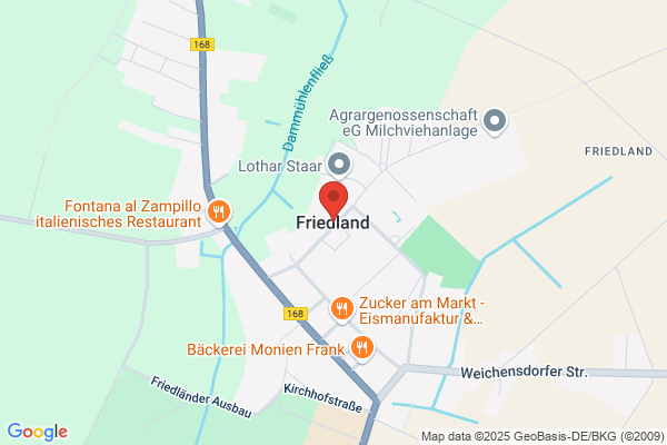 Friedland Jerry N