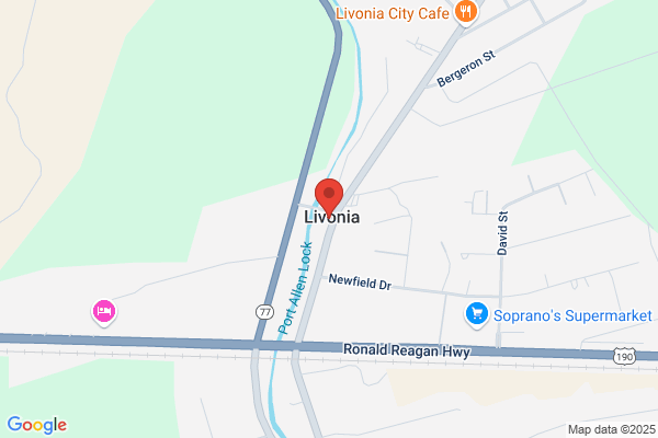 City Government, Livonia