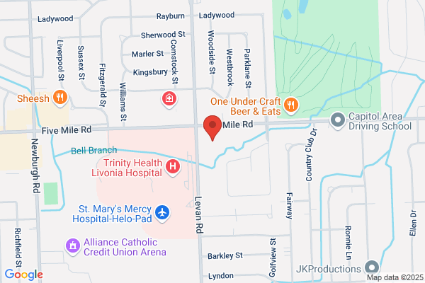 Auto Lab Livonia